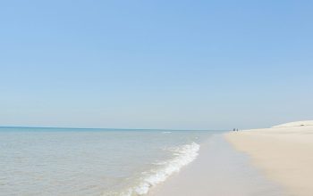 Wallpaper A Sandy Beach with a Clear Blue Sky