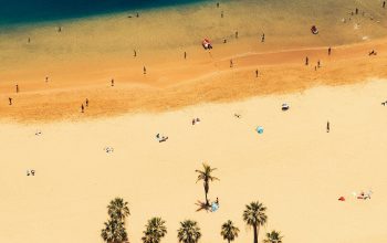 Wallpaper Crowded Beach with Palm Trees