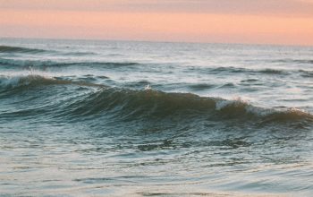 Wallpaper Man Riding a Wave