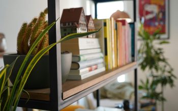 Wallpaper A Bookshelf Filled with Lots of Books Next to a Potted Plant
