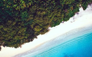 Wallpaper An Aerial View of a Tropical Island with a White Sand Beach