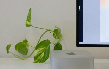Wallpaper Computer Monitor and Cell Phone