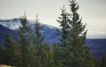 Wallpaper A Majestic Mountain Range
