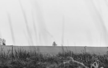 Wallpaper A Black and White Horse Rider
