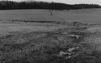 Wallpaper Monochrome Field with Puddle