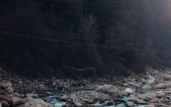 Wallpaper A Man Standing on a Rock Next to a River