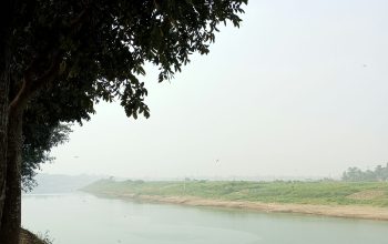 Wallpaper A Body of Water Next to a Lush Green Field