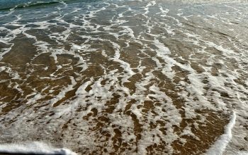 Wallpaper A Sandy Beach with Waves