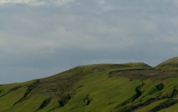 Wallpaper A Grassy Hill with a Stream