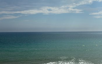 Wallpaper A View of the Ocean from a Sandy Beach