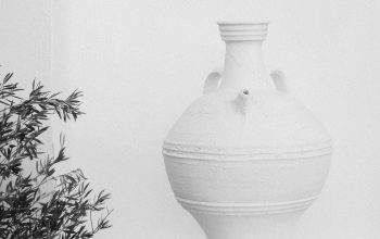 Wallpaper A Black and White Vase and Plant