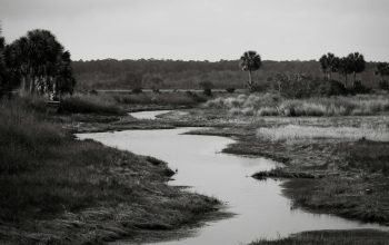 Wallpaper A Black and White River Photo