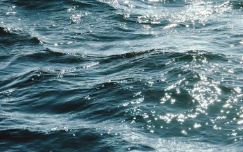 Wallpaper A Person Riding a Surfboard on Water