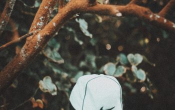 Wallpaper A Man with a Hat Standing in Front of a Tree