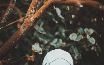 Wallpaper A Person in a White Hat by a Tree