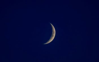 Wallpaper A Half Moon in the Dark Sky