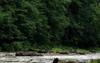 Wallpaper A Man Standing on a Rock in the Middle of a River
