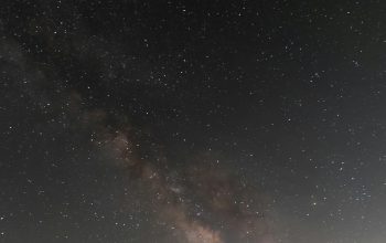 Wallpaper The Night Sky is Filled with Stars and Lots of Trees
