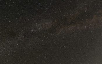 Wallpaper The Night Sky is Filled with Stars and Palm Trees