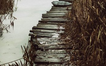 Wallpaper A Wooden Dock in Still Water