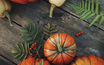 Wallpaper A Group of Pumpkins on a Wooden Table