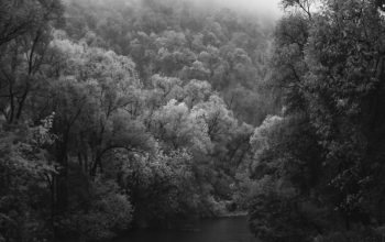 Wallpaper A Black and White River Scene