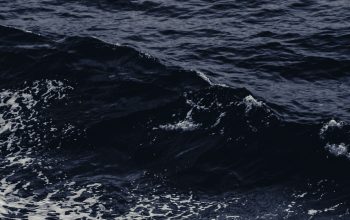Wallpaper A Man Riding a Wave on a Surfboard