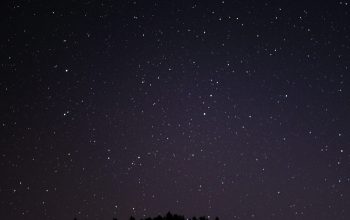 Wallpaper The Night Sky is Filled with Stars and the Silhouettes of Trees
