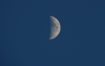 Wallpaper A Half Moon Shines Brightly in the Sky
