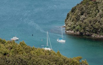 Wallpaper Boats Sail in a Tranquil Bay Surrounded by Lush Green Trees