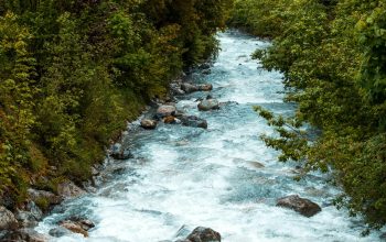 Wallpaper A Rushing River Flows Through Green Trees