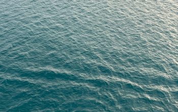 Wallpaper Calm, Blue Water with Subtle Ripples