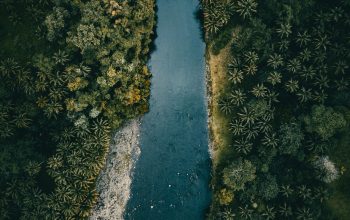 Wallpaper A Winding River Flows Through Lush, Green Forest