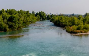 Wallpaper A Wide River Flows Through Lush Greenery