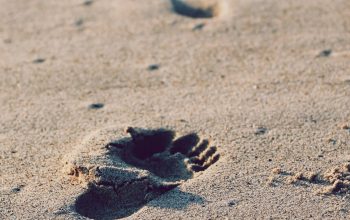 Wallpaper Footprints on Beach Sand